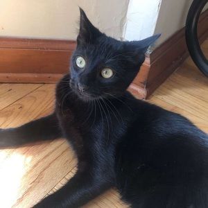 Meet your Posher, Mark